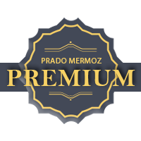 logo_premium%20copie.png
